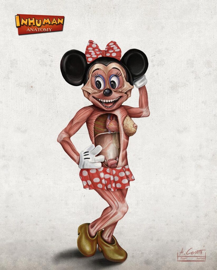 Minnie's anatomy by Alessandro Conti